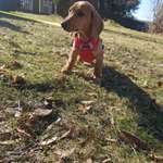 Ersteller:in Lissy Profilbild