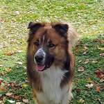 Ersteller:in Birgit Profilbild