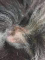 Hot Spot Behandlung-Beitrag-Bild