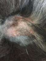 Hot Spot Behandlung-Beitrag-Bild