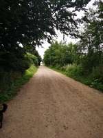 Hundeauslaufgebiet-Waldemarsmauer-Bild