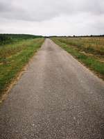 Hundeauslaufgebiet-Waldemarsmauer-Bild