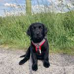 Ersteller:in Luise Profilbild