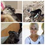 Ersteller:in Angelika Profilbild