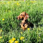 Ersteller:in D. Profilbild