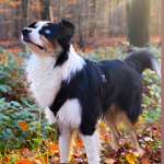 Ersteller:in Charline Profilbild