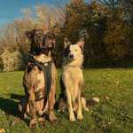 Ersteller:in Sunny Profilbild