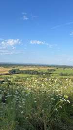 Hundeauslaufgebiet-Weinberg Lienzingen-Bild