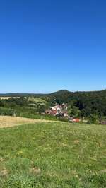 Hundeauslaufgebiet-Scheulberg-Bild