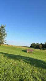 Hundeauslaufgebiet-Weinberg Lienzingen-Bild