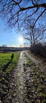 Hundeauslaufgebiet-Krems-Au-Bild