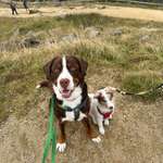 Ersteller:in Anna Profilbild