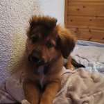 Ersteller:in Christin Profilbild