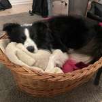 Ersteller:in Anne Profilbild