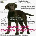 Ersteller:in Verena Profilbild