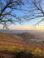 Hundeauslaufgebiet-Großer Rundweg über den Wartkopf-Bild