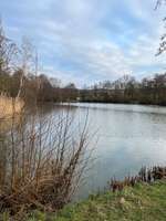 Hundeauslaufgebiet-Leberbrunnen-Bild