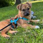 Ersteller:in Valerie Profilbild