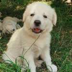 Ersteller:in Tobias Profilbild