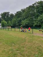 Hundeauslaufgebiet-Stadtpark-Bild