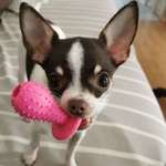 Ersteller:in Magdalena Profilbild