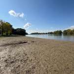 Hundeauslaufgebiet-Hundestrand Ingelheim-Bild