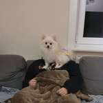 Ersteller:in Marie Profilbild