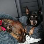 Ersteller:in Michaela Profilbild