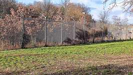 Hundeauslaufgebiet-Friedrichsfelder Landstraße-Bild