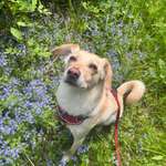 Ersteller:in Mieke Profilbild