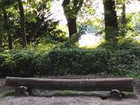 Hundeauslaufgebiet-Hundespielplatz an der Malche-Bild