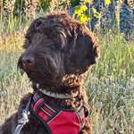 Ersteller:in Constanze Profilbild