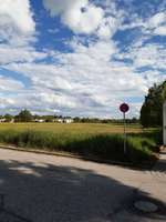 Hundeauslaufgebiet-Hundewiese an der Pötschener Str.-Bild