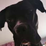 Ersteller:in Nicole Profilbild