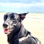 Ersteller:in Andreas Profilbild