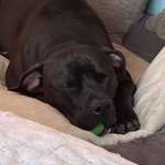 Ersteller:in Enja Profilbild