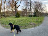 Hundeauslaufgebiet-Von-Reden-Park Gehrden-Bild