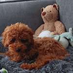 Ersteller:in Jessy Profilbild