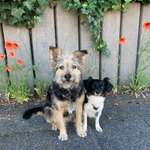 Ersteller:in Cari mit Profilbild