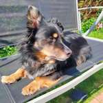 Ersteller:in erika Profilbild