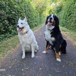 Ersteller:in Christine Profilbild