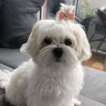 Ersteller:in Julia Profilbild