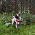 Ersteller:in Isabel Profilbild