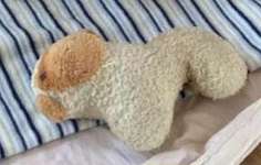 SUCHE !!!-Beitrag-Bild