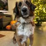 Ersteller:in Ronja Profilbild