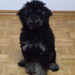 Ersteller:in Lisa Profilbild