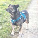 Ersteller:in Madita Profilbild