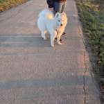 Suchmeldung-Nala-Bild