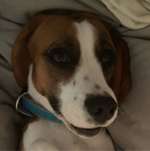 Ersteller:in Leonie Profilbild