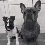 Ersteller:in Lisa Profilbild